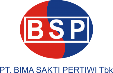 Logo BSP